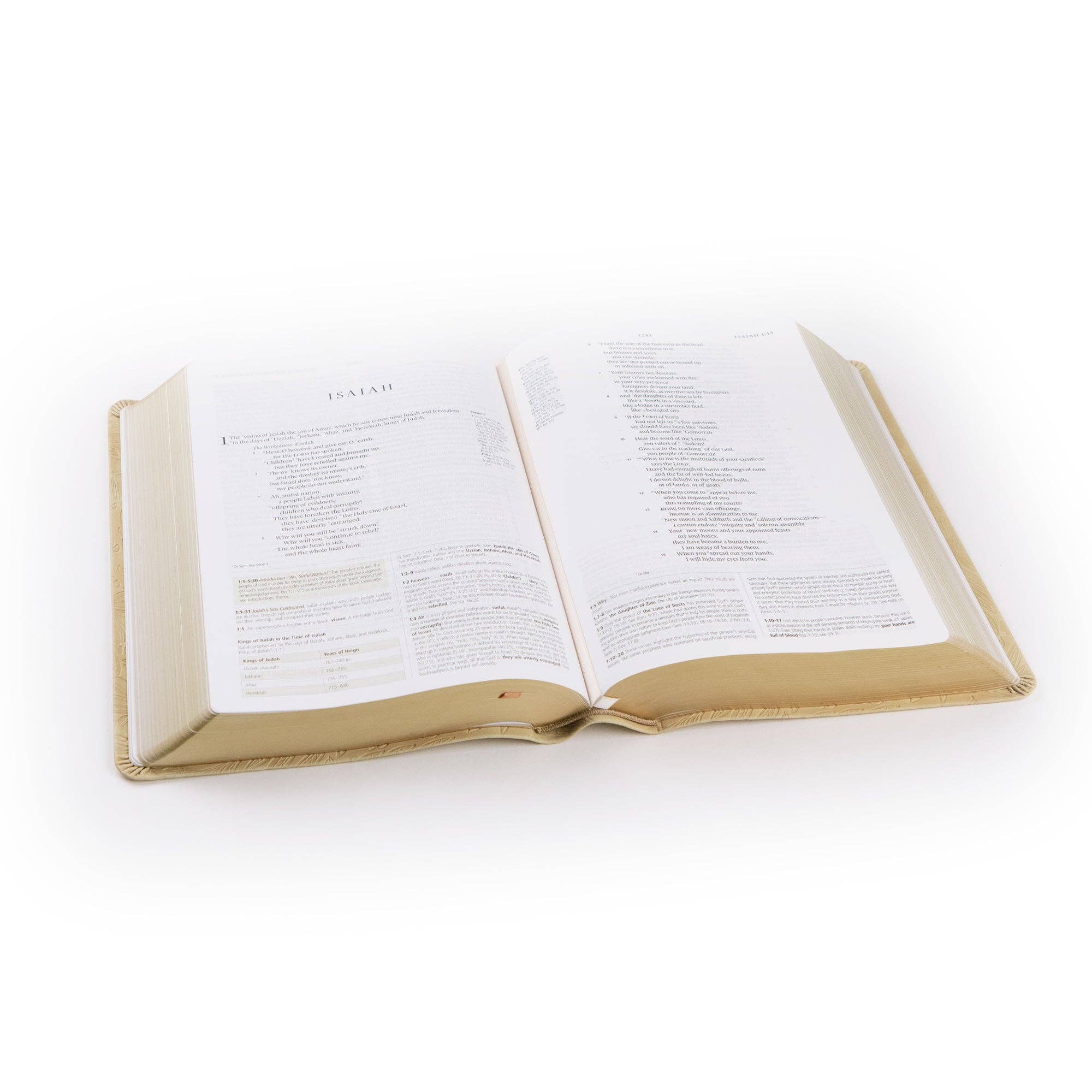 ESV Sonora Study Bible