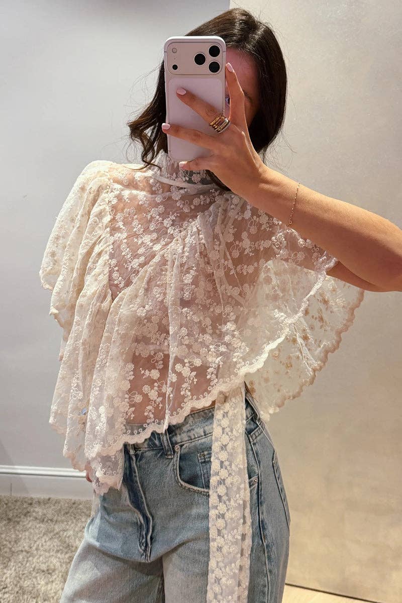 Asymmetrical Sheer Top